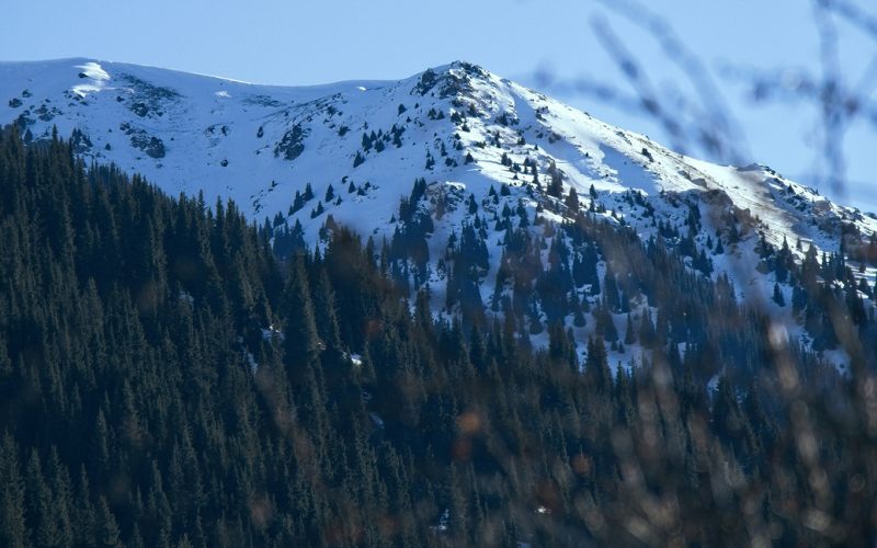 растет активность заказчиков